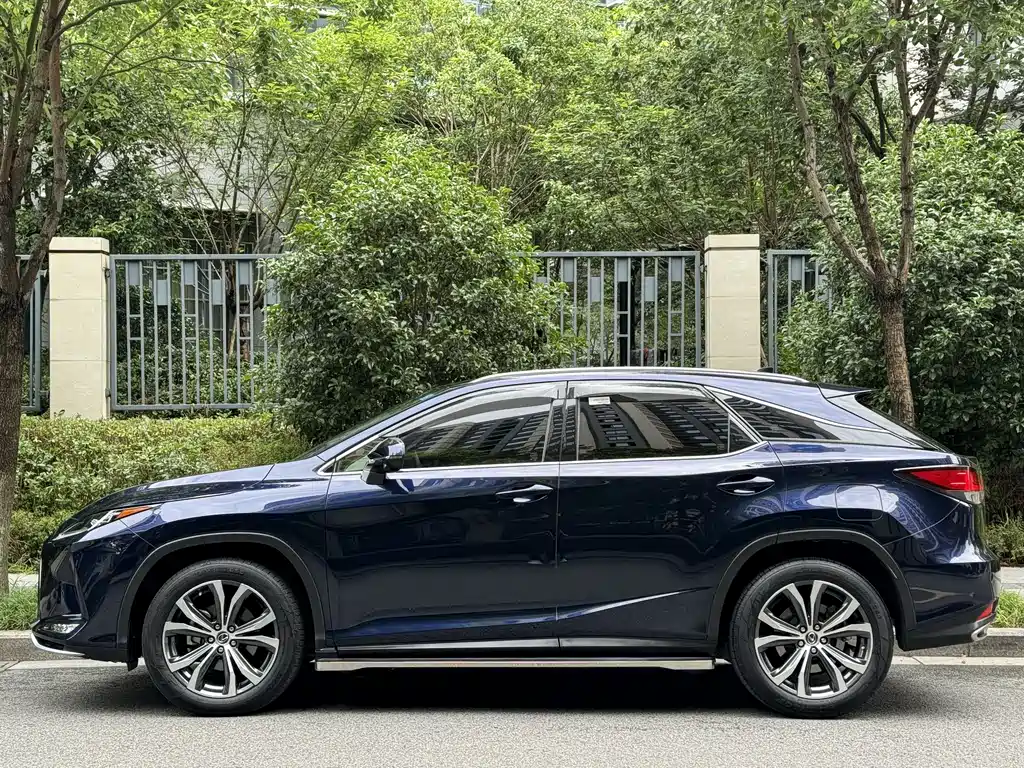 Lexus RX 300 4 WD Elegant CN-VI