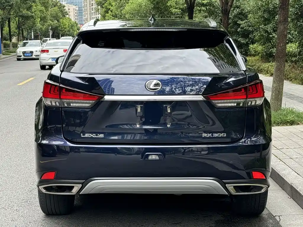 Lexus RX 300 4 WD Elegant CN-VI