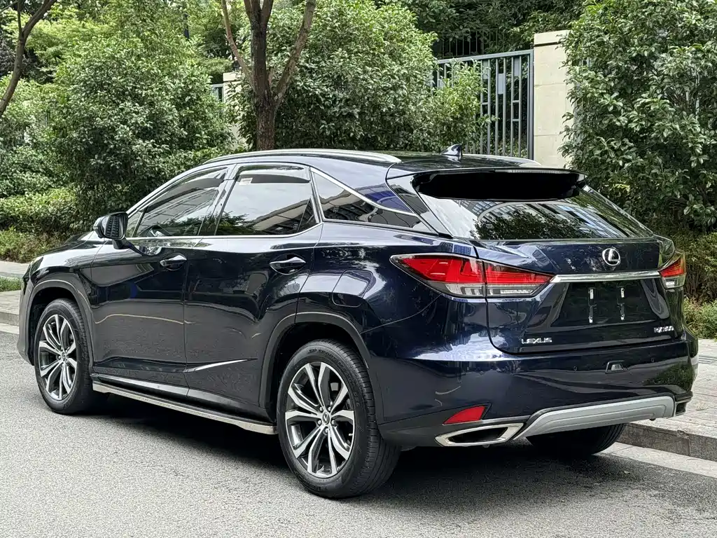 Lexus RX 300 4 WD Elegant CN-VI
