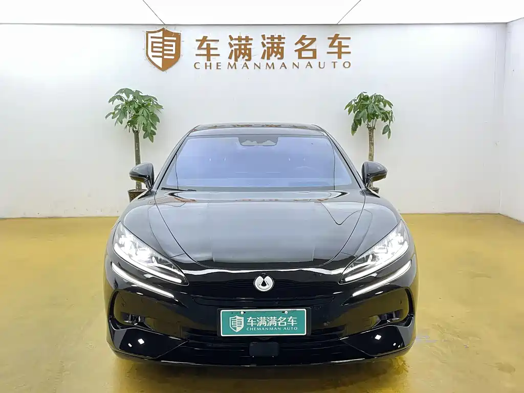 Denza Z9 GT 1100 4 WD Max