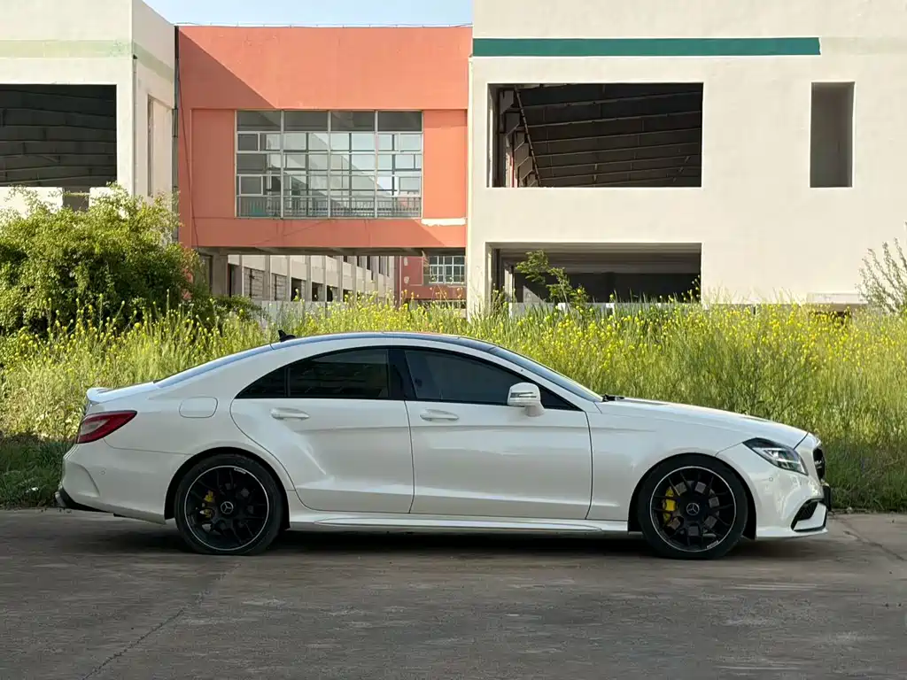 Mercedes-Benz CLS CLS 320