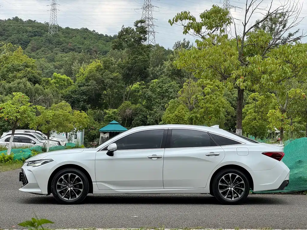 Avalon 2.0 L Luxury