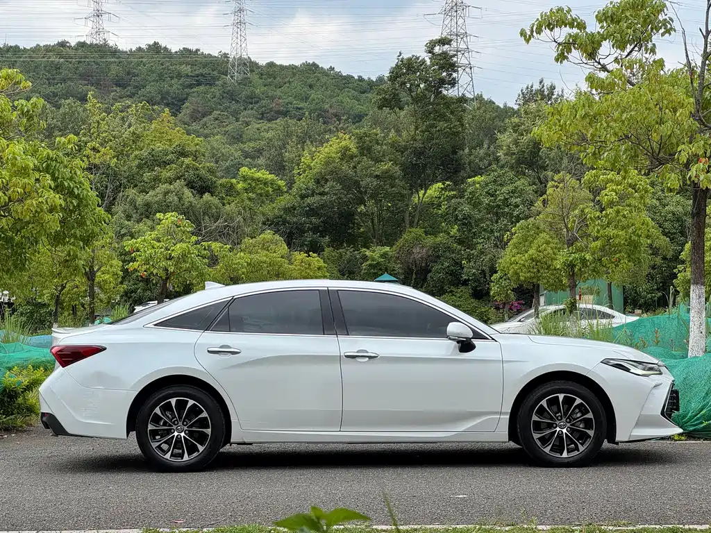 Avalon 2.0 L Luxury