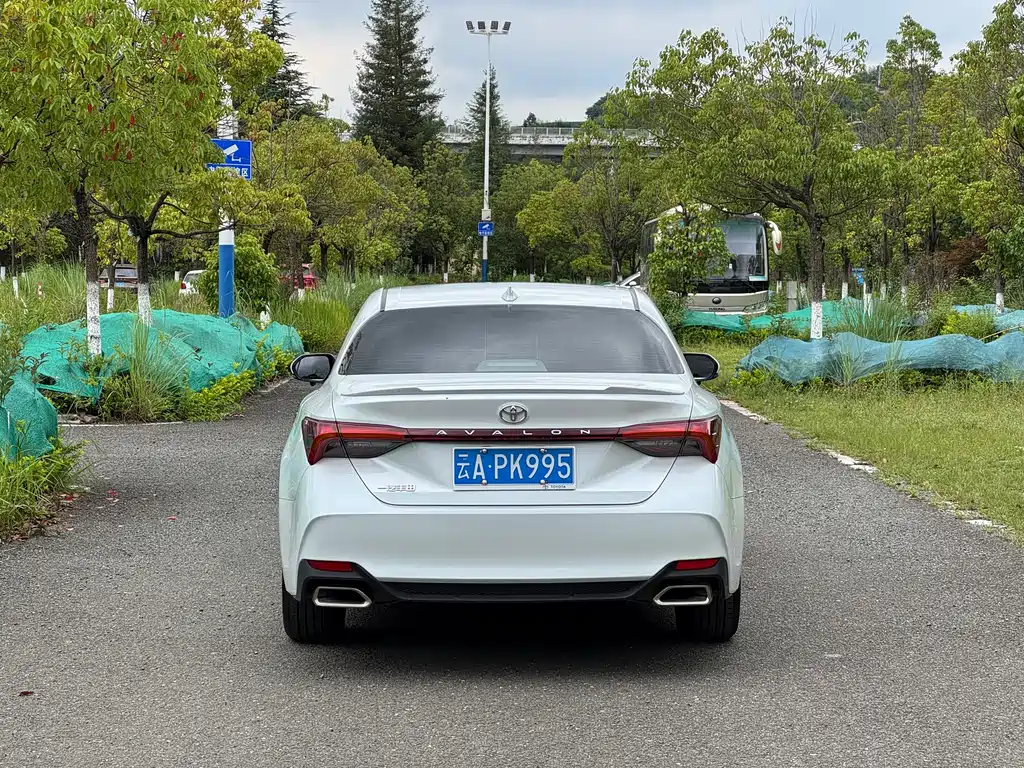 Avalon 2.0 L Luxury