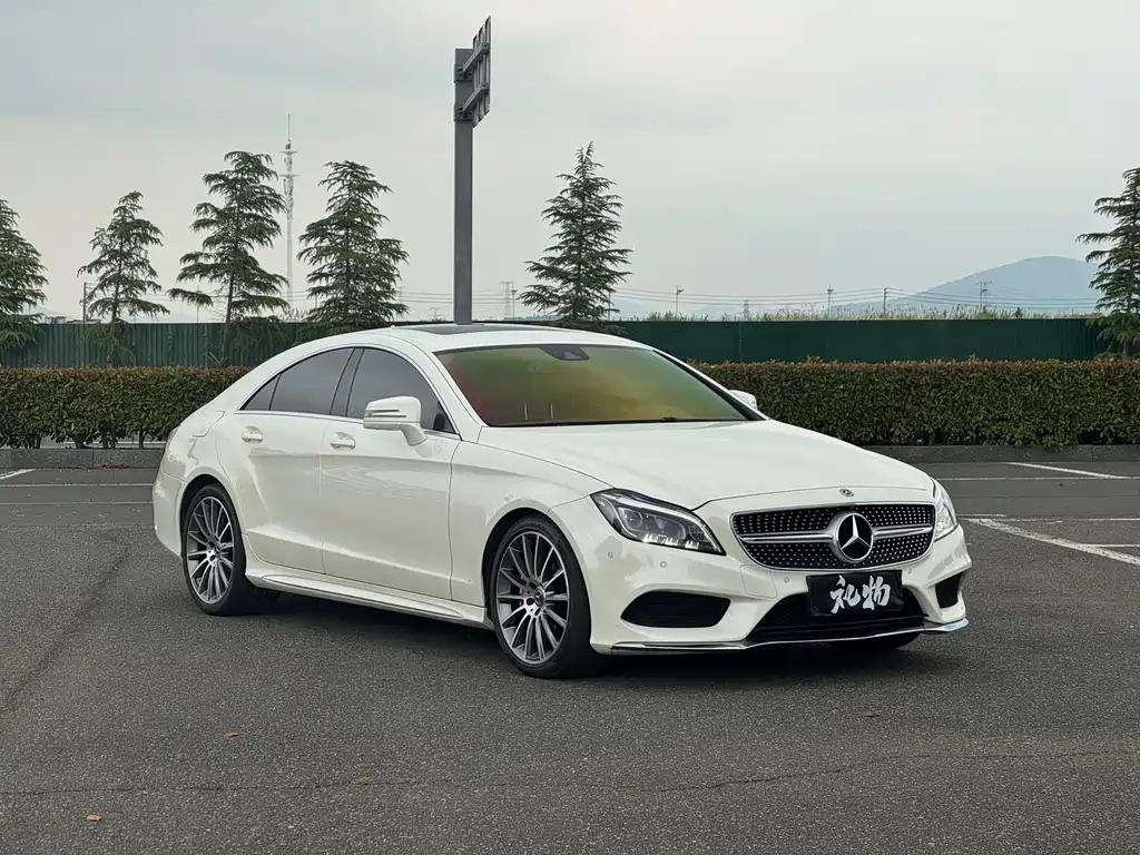 Mercedes-Benz CLS CLS 320 Colorful