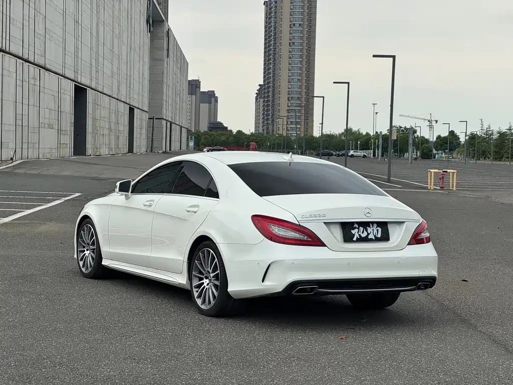 Mercedes-Benz CLS CLS 320 Colorful