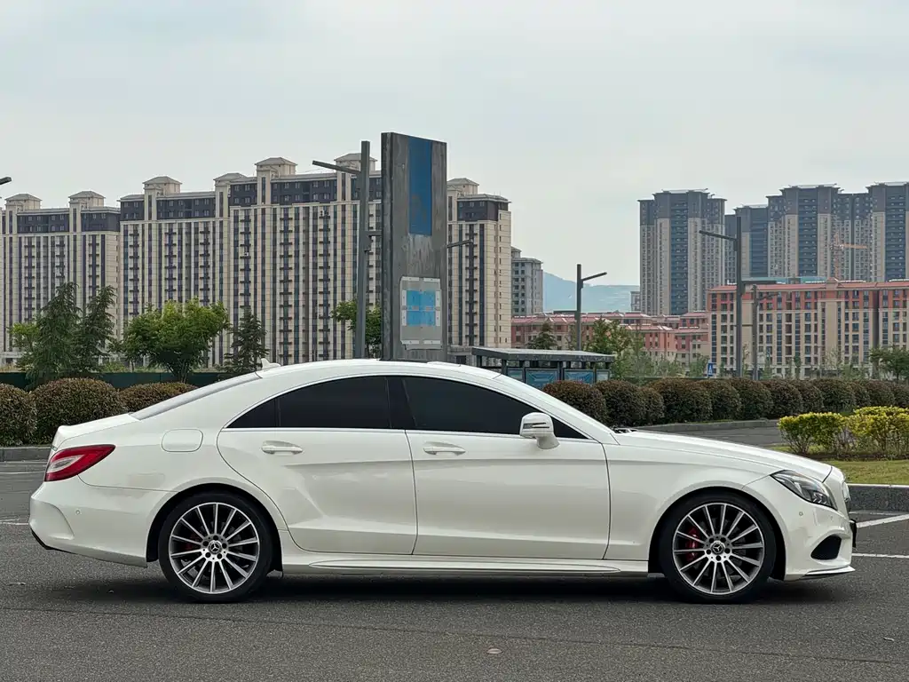 Mercedes-Benz CLS CLS 320 Colorful