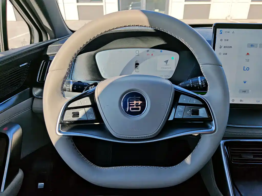 Tang NEV Smart Drive DM-i 115 KM Flagship