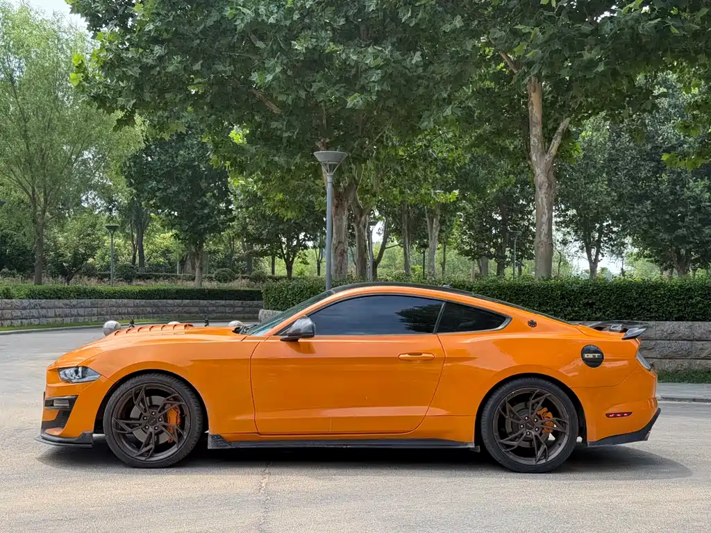 Mustang 2.3 L EcoBoost Performance Reinforced