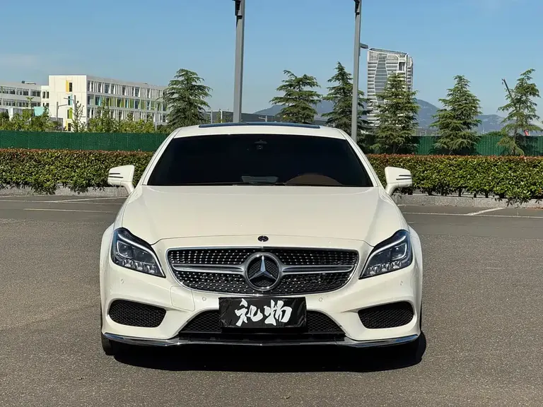 Mercedes-Benz CLS CLS 320 Colorful