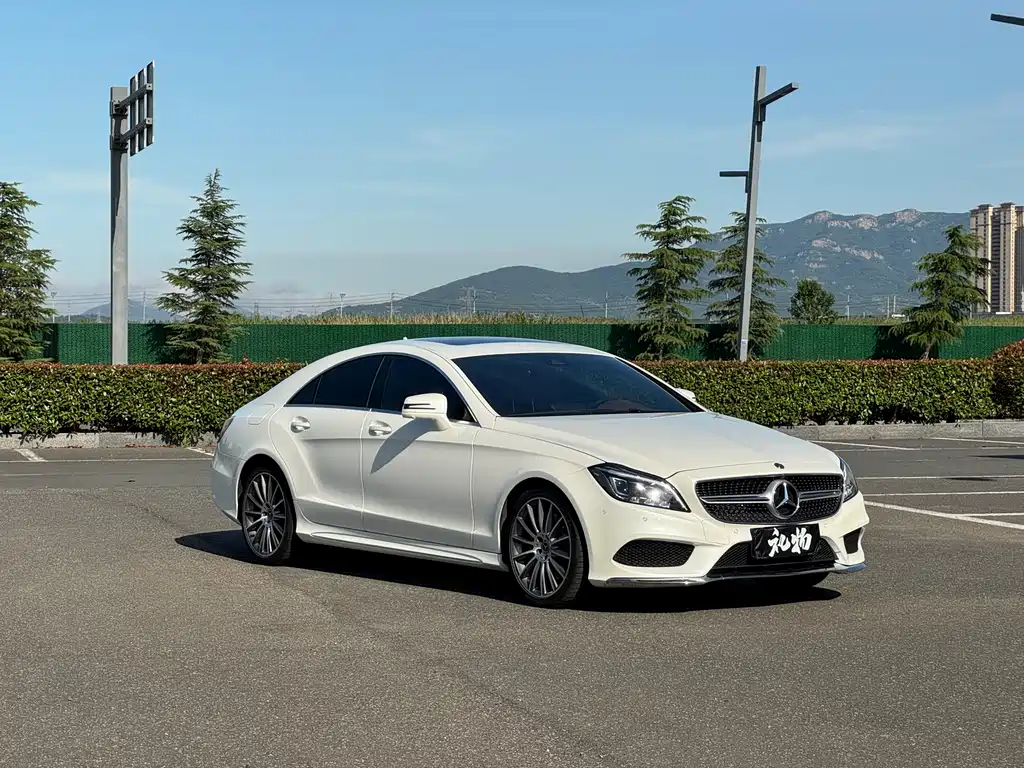 Mercedes-Benz CLS CLS 320 Colorful