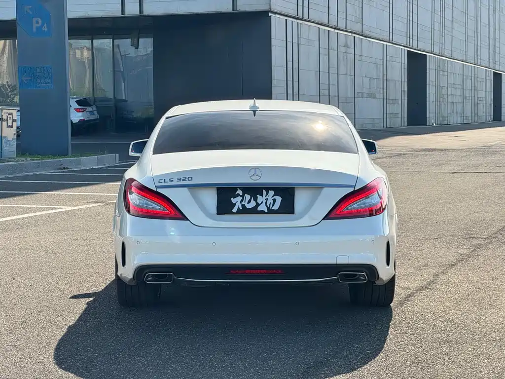 Mercedes-Benz CLS CLS 320 Colorful