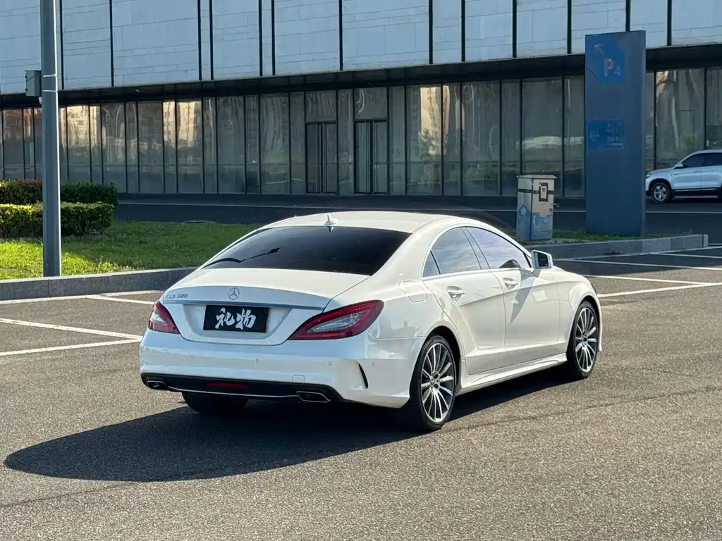 Mercedes-Benz CLS CLS 320 Colorful