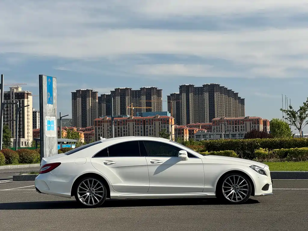 Mercedes-Benz CLS CLS 320 Colorful
