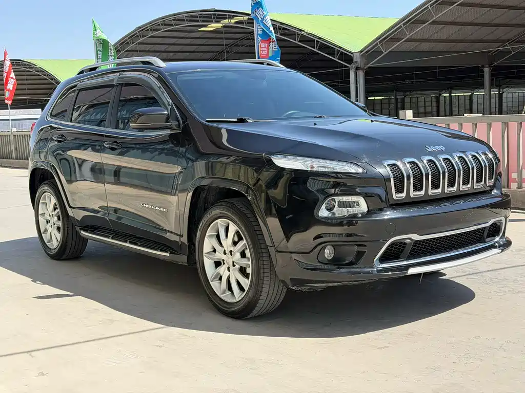 Cherokee 2.4 L Professional Intelligent
