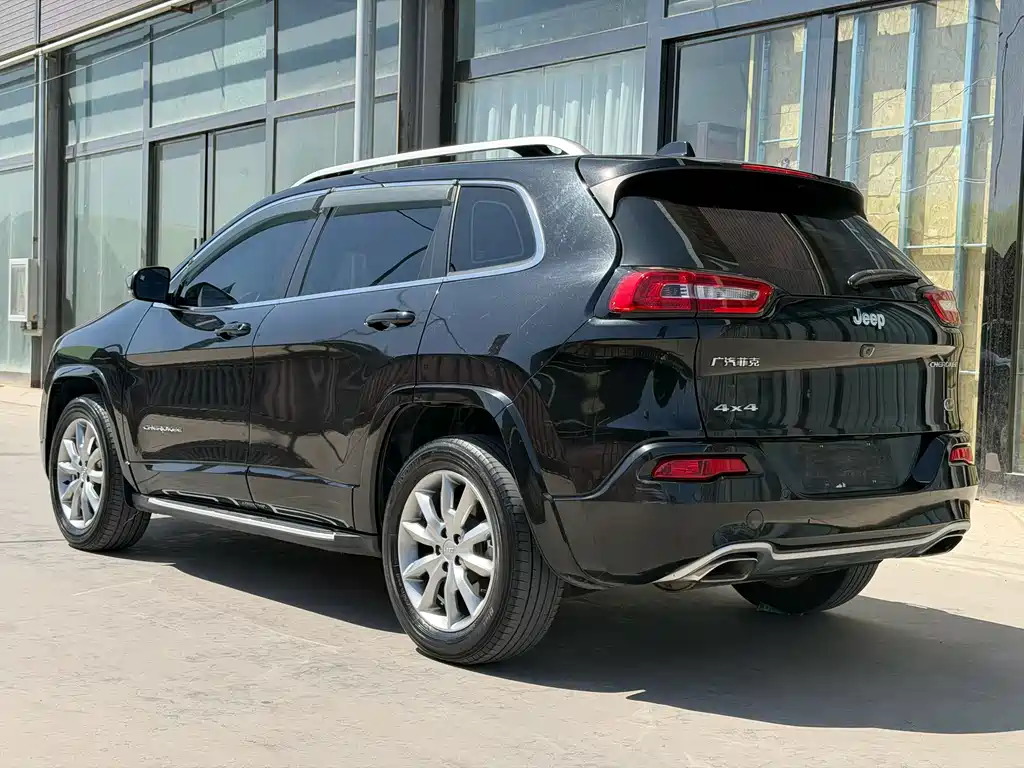 Cherokee 2.4 L Professional Intelligent