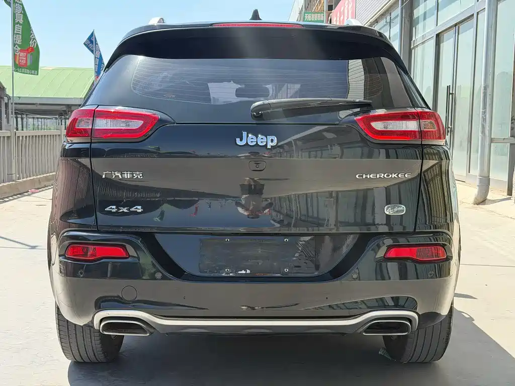 Cherokee 2.4 L Professional Intelligent