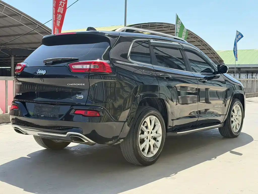 Cherokee 2.4 L Professional Intelligent