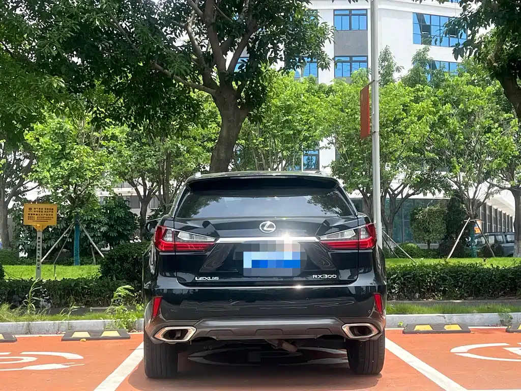 Lexus RX 300 4 WD Elegant CN-V