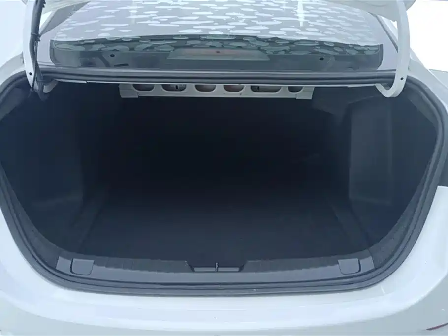 Cavalier 科沃兹 2020款 320 手动欣动版