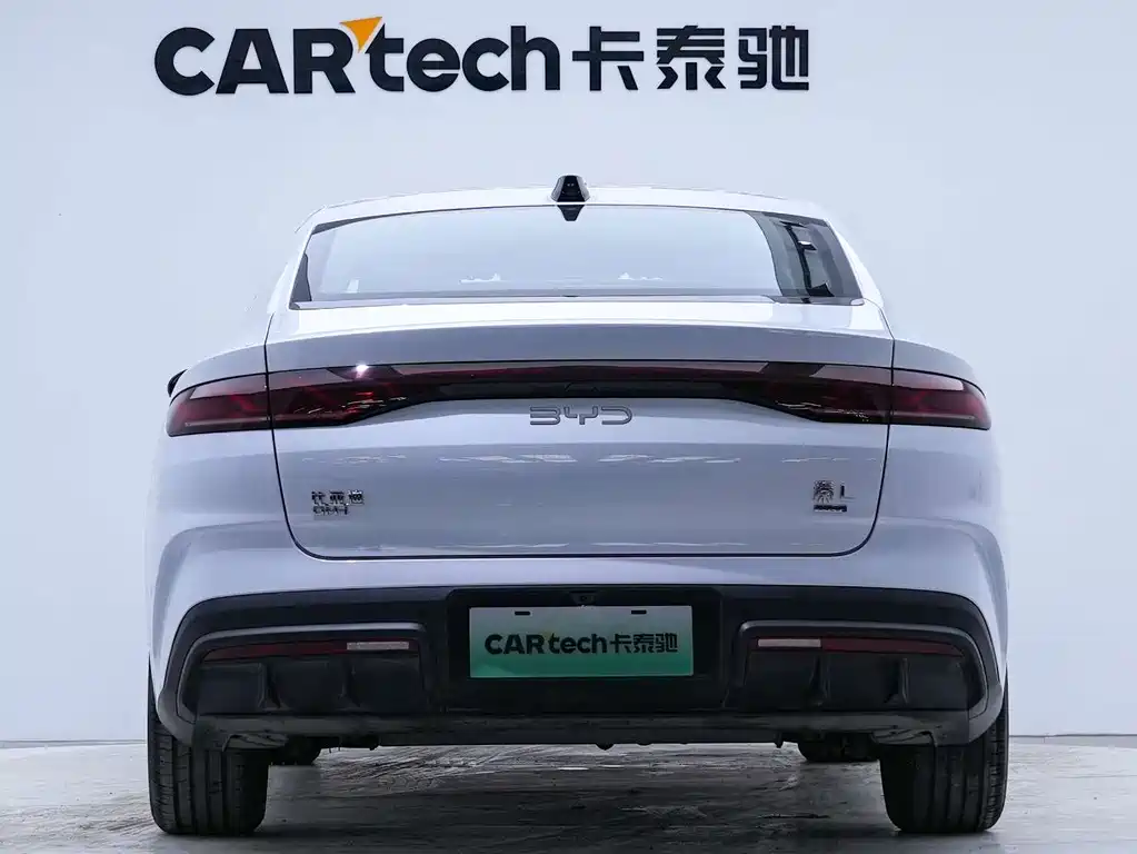 Qin L DM-i Smart Drive 120 KM Transcend
