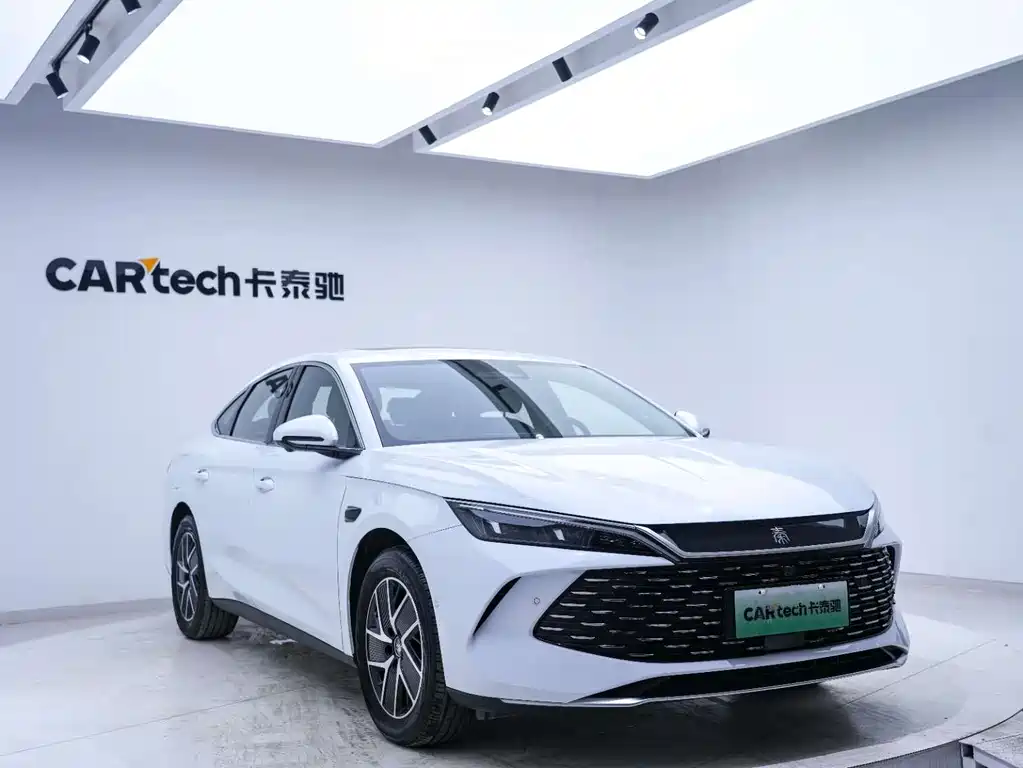 Qin L DM-i Smart Drive 120 KM Transcend