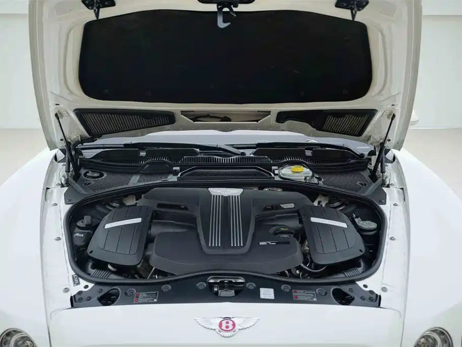 Flying Spur 4.0 T V8 S Standard