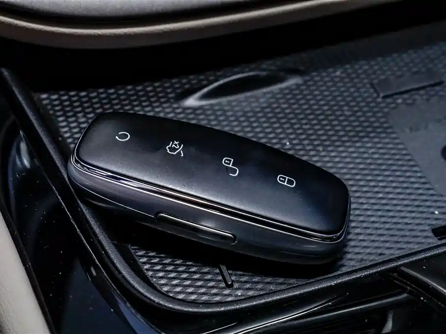 Denza D9 DM-i 980 4 WD Honored