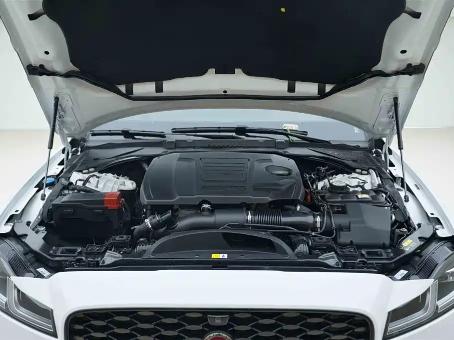 Jaguar XFL XFL 2.0 T P250 2 WD Elite Sport