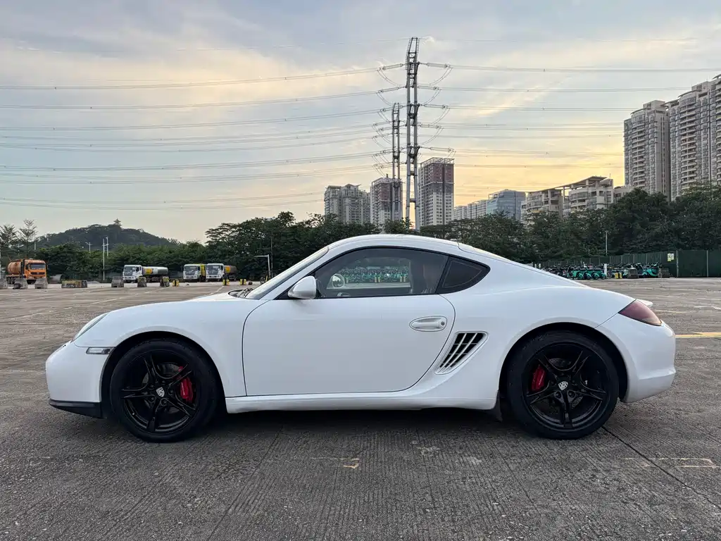 Cayman Cayman 2.9 L