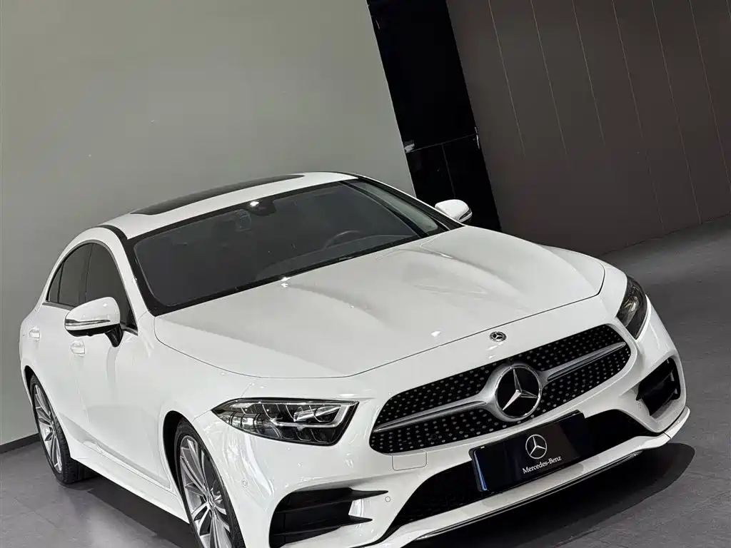 Mercedes-Benz CLS CLS 300 Dynamic