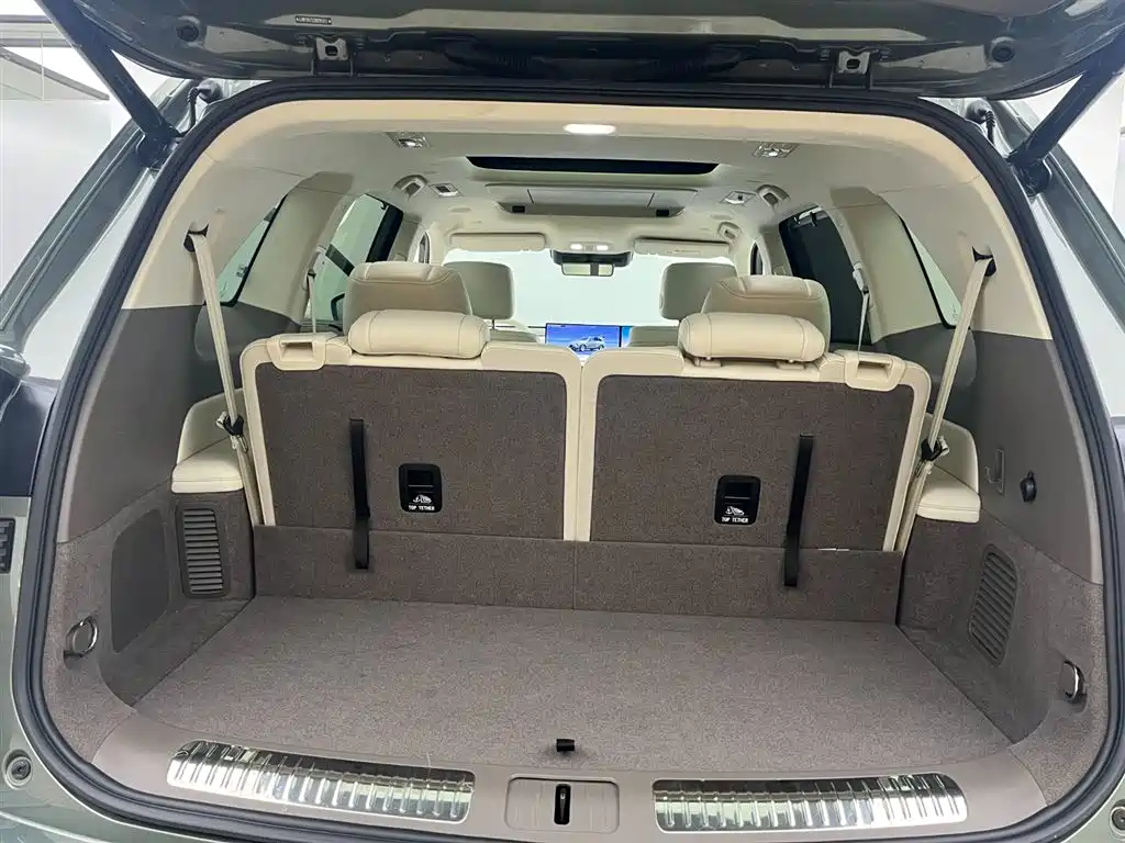 WEY Blue Mountain 4 WD Max