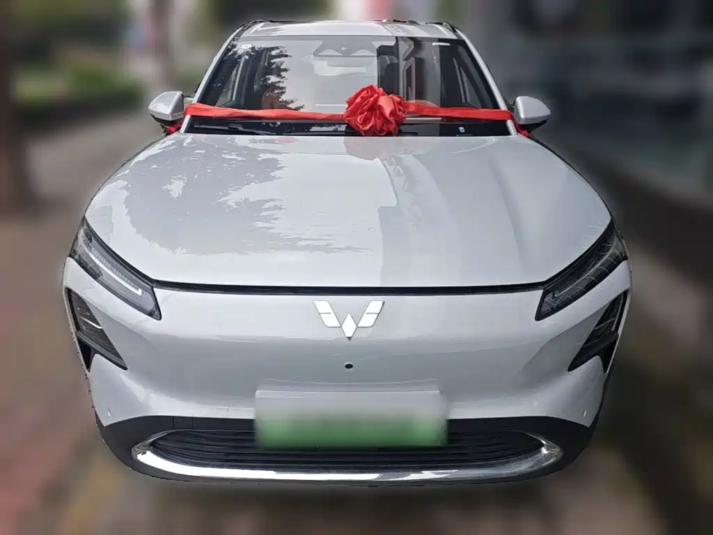 Wuling Starlight S 130 km Flagship