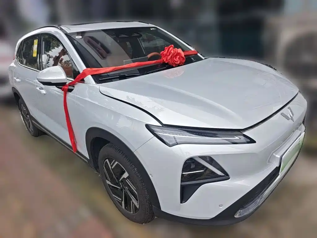 Wuling Starlight S 130 km Flagship