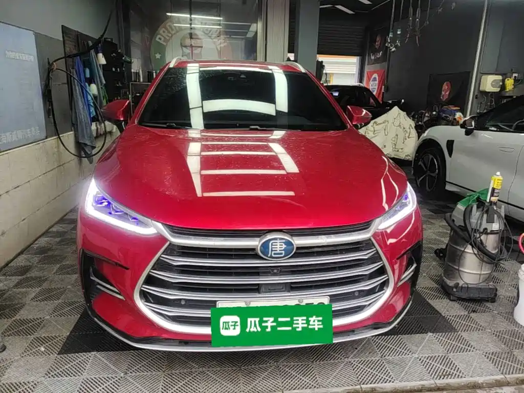 Tang NEV DM 2.0 T 4 WD High Performance Honored