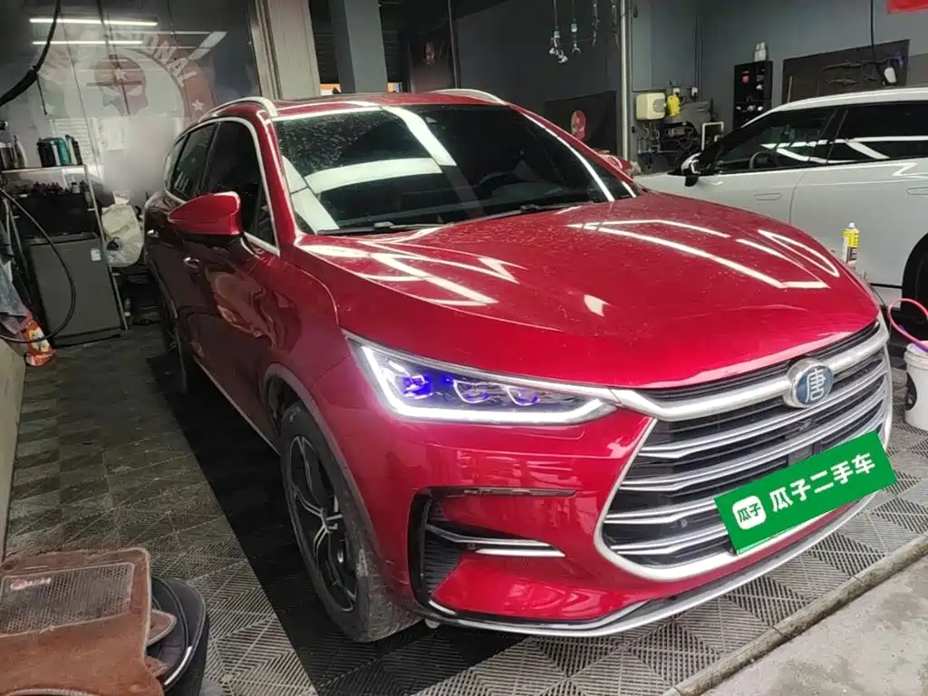 Tang NEV DM 2.0 T 4 WD High Performance Honored