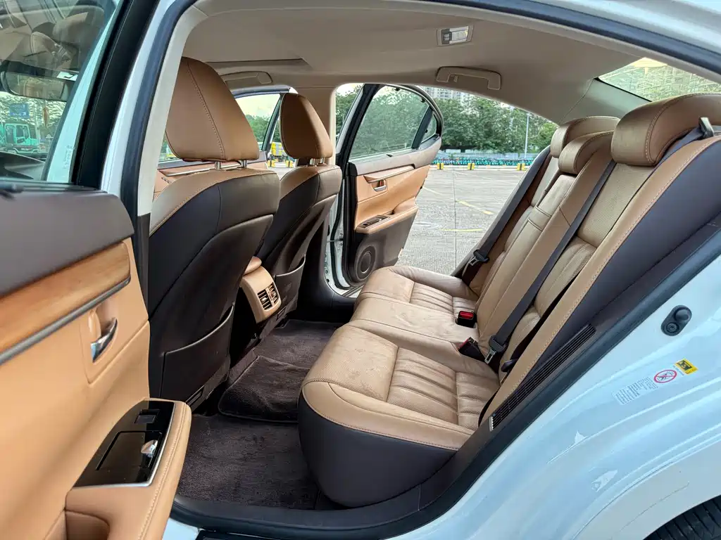 Lexus ES 300 h Luxury
