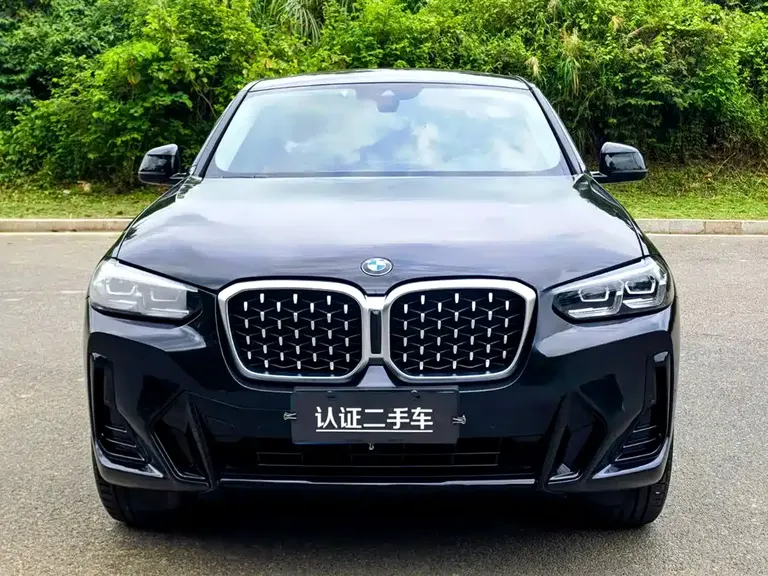 BMW X4 xDrive 25 i M Sport Package