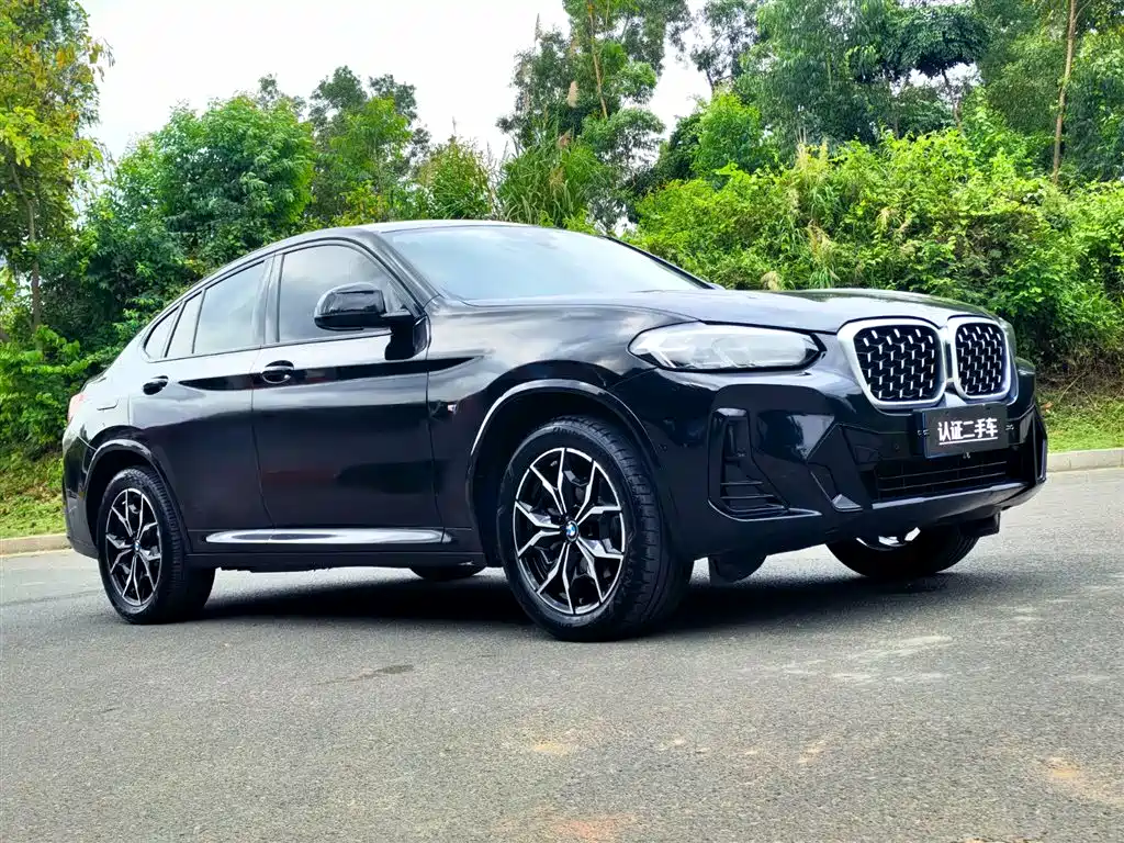 BMW X4 xDrive 25 i M Sport Package
