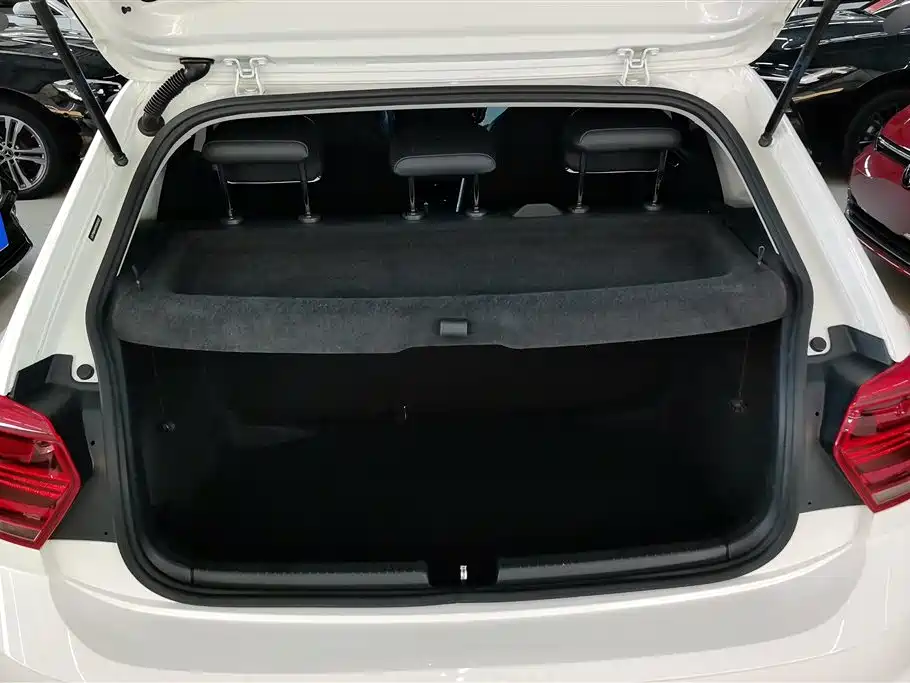 Polo Plus 1.5 L Auto Colorful Tech