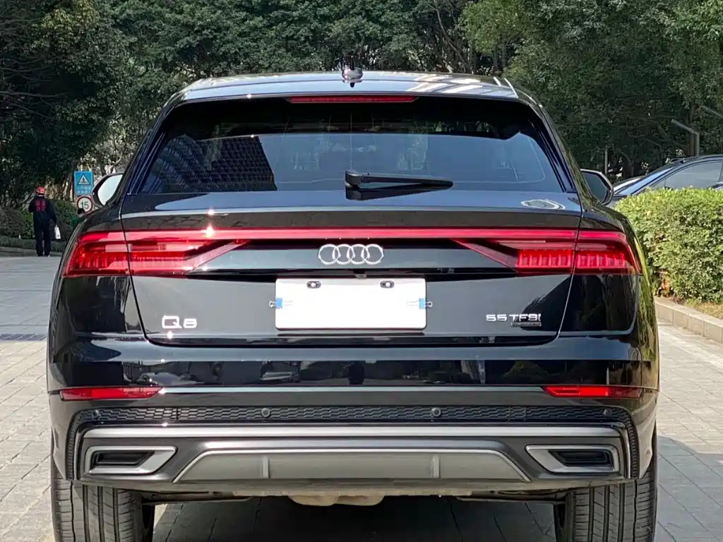 Audi Q8 55 TFSI Luxury Dynamic