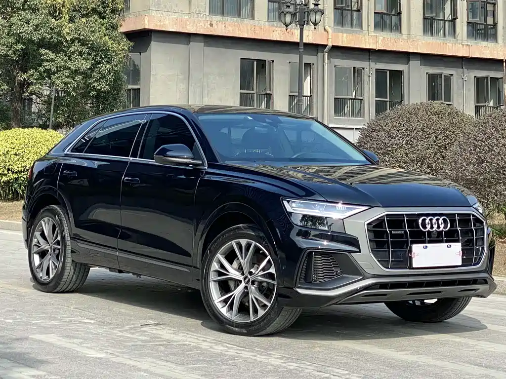 Audi Q8 55 TFSI Luxury Dynamic