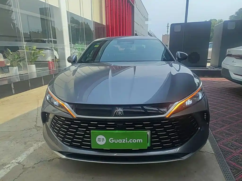 Qin L DM-i Smart Drive 120 KM Transcend
