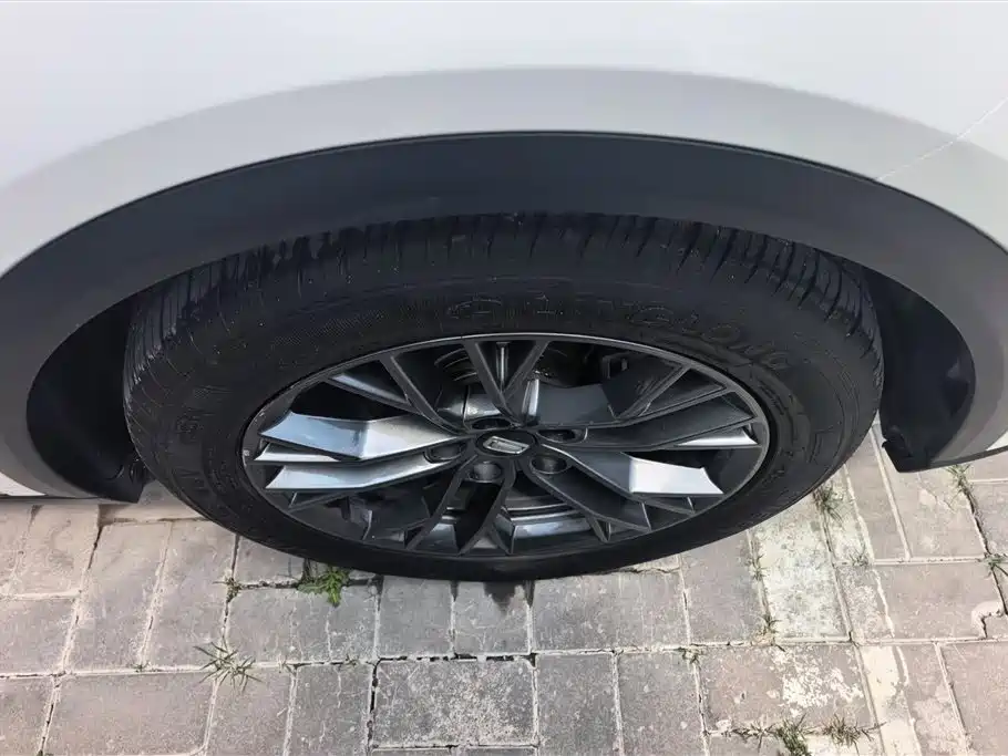 Besturn T55 1.5 T Auto Leap