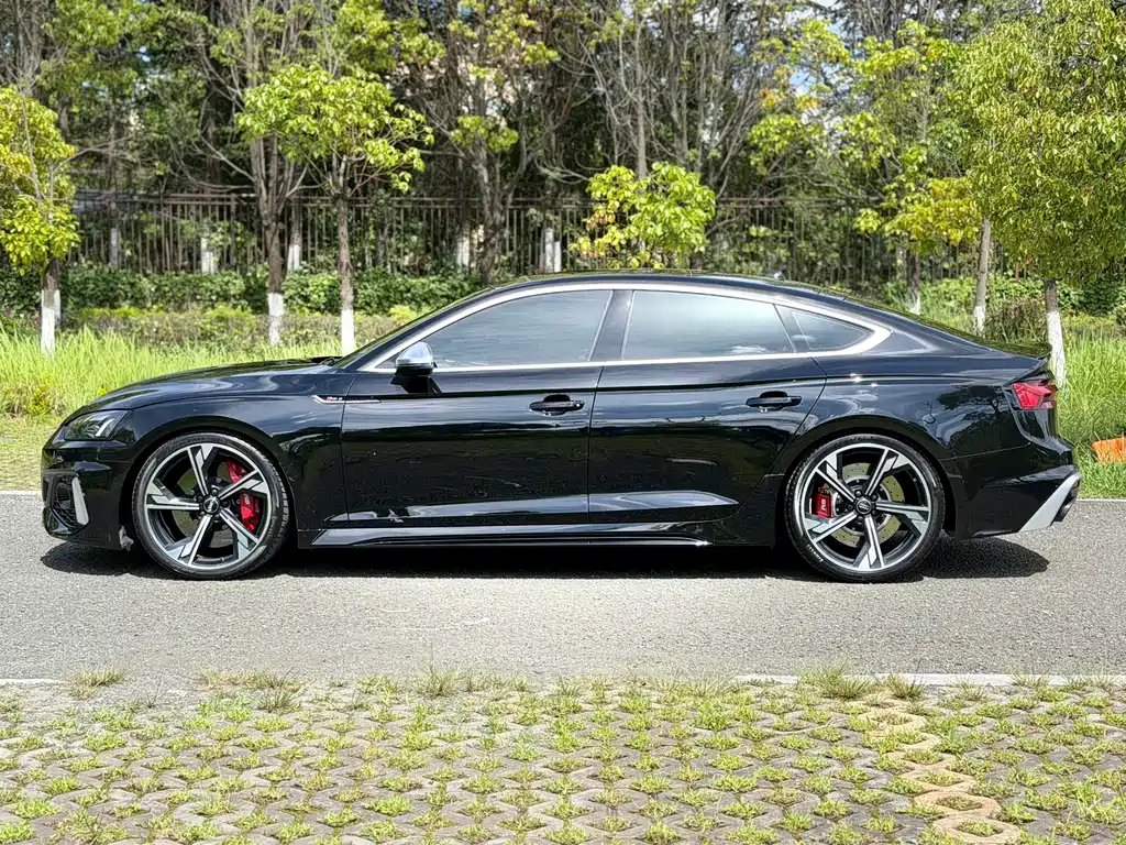 Audi RS 5 RS 5 2.9 T Sportback