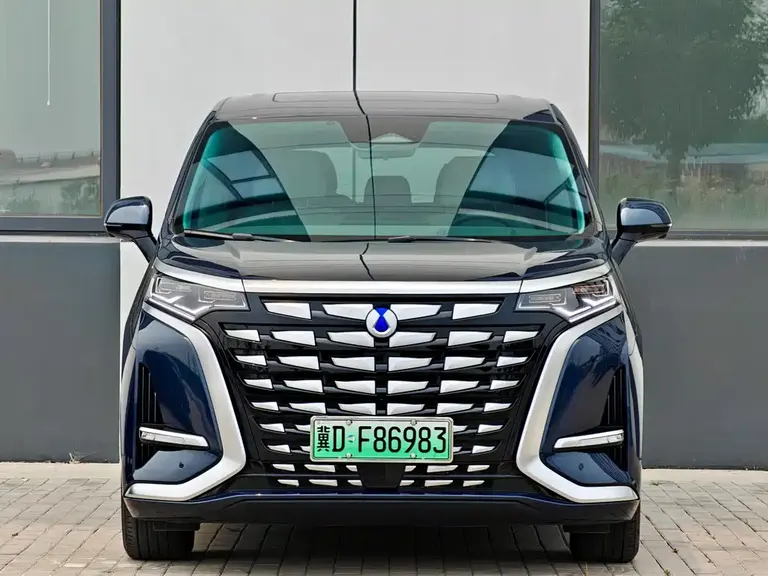 Denza D9 DM-i 970 4 WD Honored