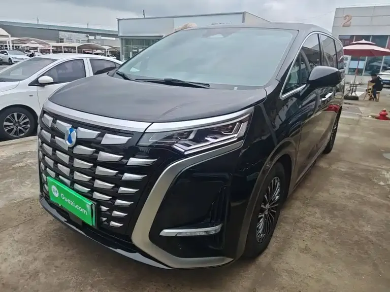 Denza D9 DM-i 1050 Premium