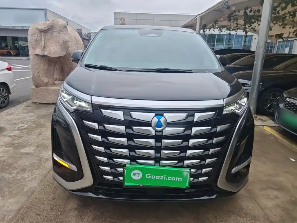 Denza D9 DM-i 1050 Premium