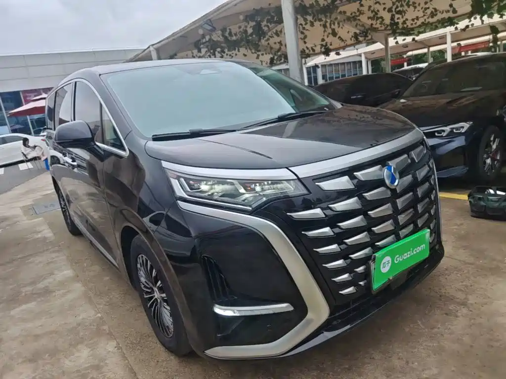 Denza D9 DM-i 1050 Premium