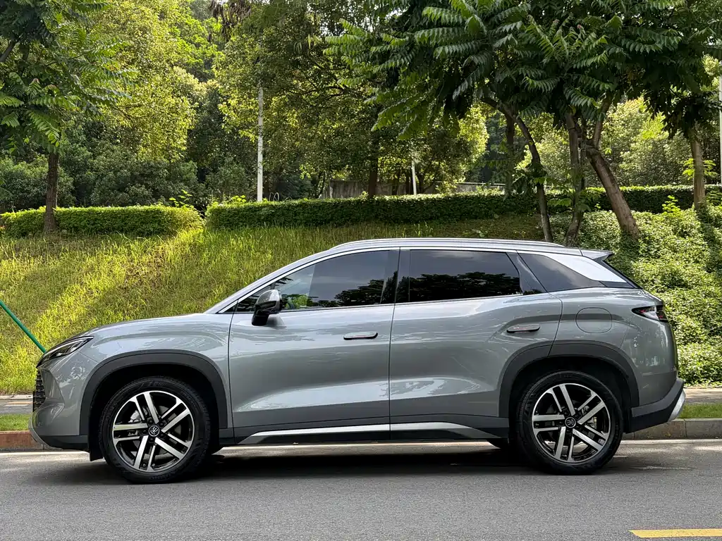 Song L DM-i 112 km Transcend